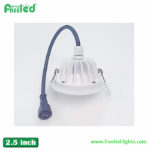 IP65 2.5inch LED Down Light