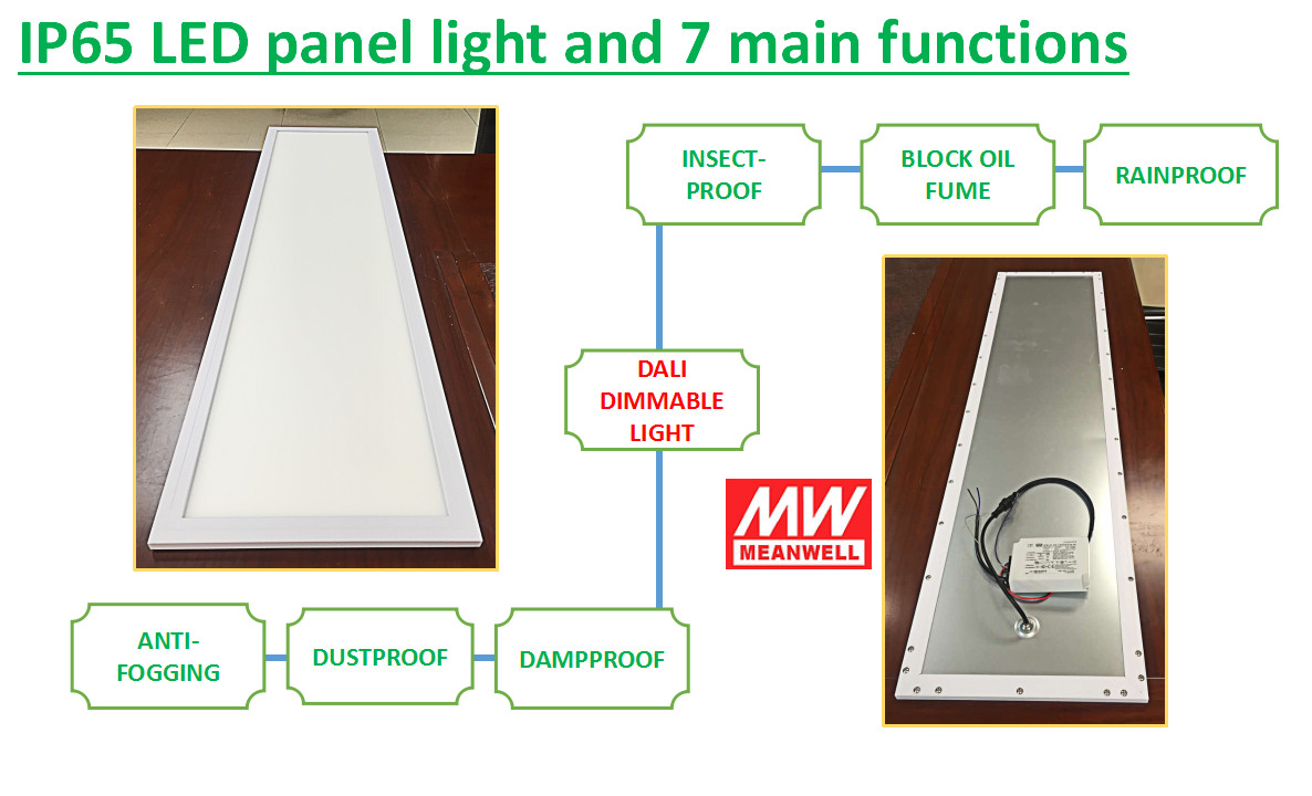 30x120cm 40w DALI IP65 LED Panel Light - IP65 IP54 LED Panel Light - 2