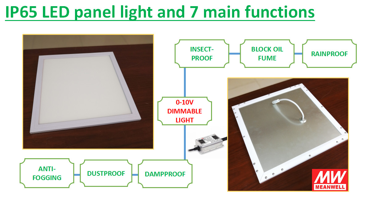 30x30cm 18w 0-10v wet location IP65 LED Panel Light - IP65 IP54 LED Panel Light - 3