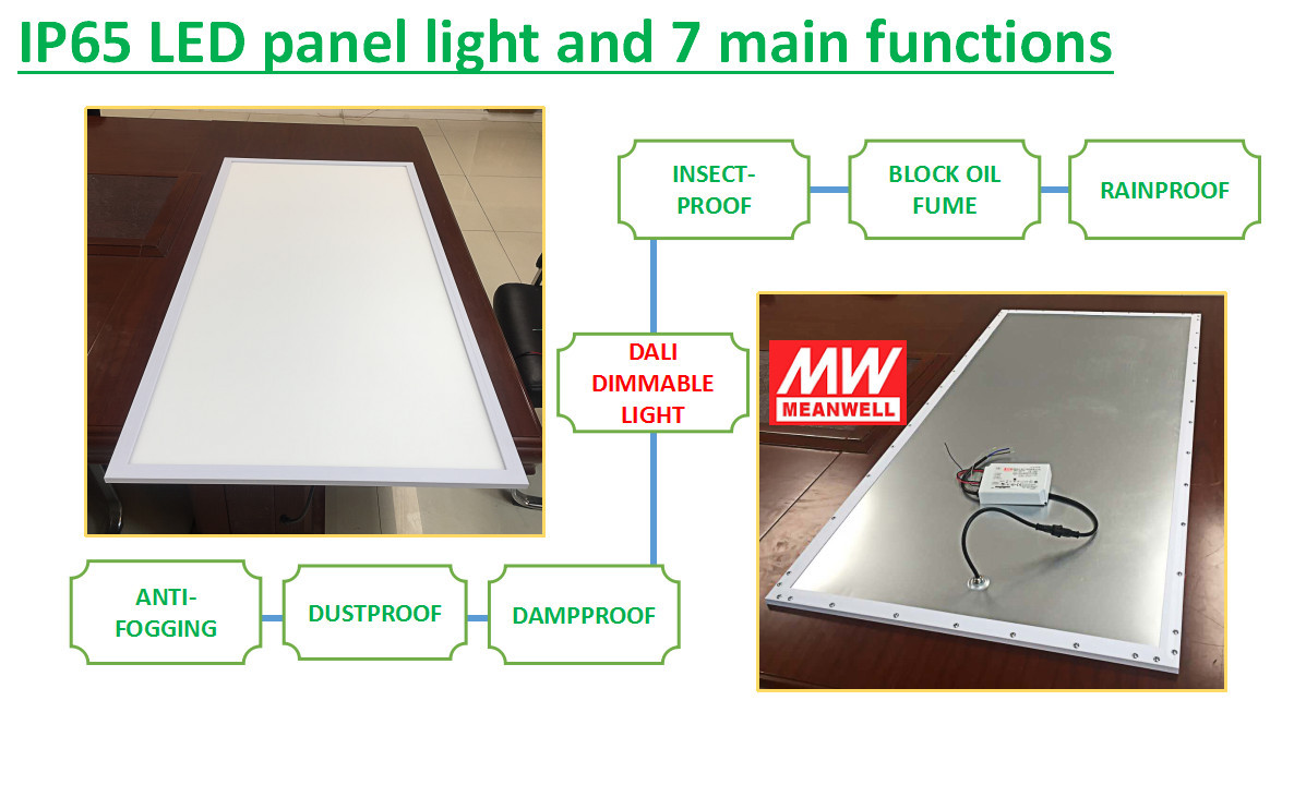 60x120cm 60w wet location IP65 LED Panel Light - IP65 IP54 LED Panel Light - 3
