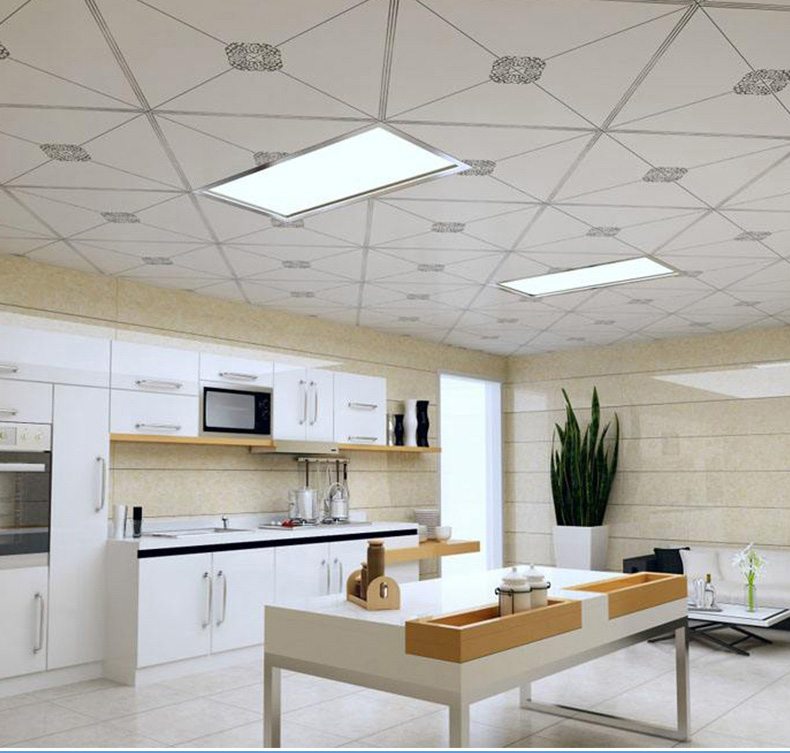 60x60cm 40w wet location IP65 sterilization recessed light - IP65 IP54 LED Panel Light - 22