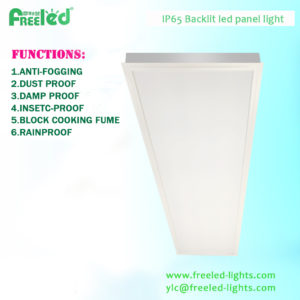 30x120cm 40w wet location IP65 LED Backlit Recessed Light